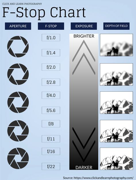 Many beginner photographers struggle to get to grips with the concept of apertures and f-stops, but we're here to take away all that confusion with our handy, easy-to-understand F-Stop Chart infographic.  Click here to finally understand everything about apertures and f-stops!  #photography #infographic #photographytips #beginnerphotography #learnphotography Photo Thoughts, Photography Infographic, Photography Frame, Manual Photography, Chart Infographic, Digital Tutorial, Dslr Photography Tips, Soccer Photography, Photography Settings