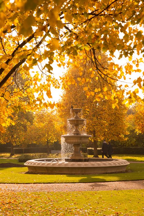 regents-park-london-15 London Autumn Aesthetic, Autumn London Aesthetic, Autumn Aesthetic London, Autumn Park Aesthetic, Parks In London, Park In Autumn, Autumn Park Photography, Regents Park London, Greenwich Park