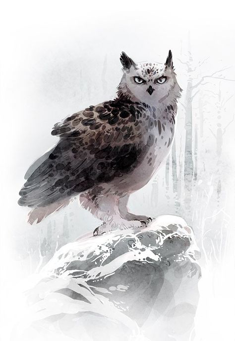 Snowy Owl Character Design, Owl Character Design Human, Fantasy Owl Art, Snow Owl Art, Owl Fantasy Art, Minna Sundberg, Owl Creature, Cute Owl Art, Owl Digital Art