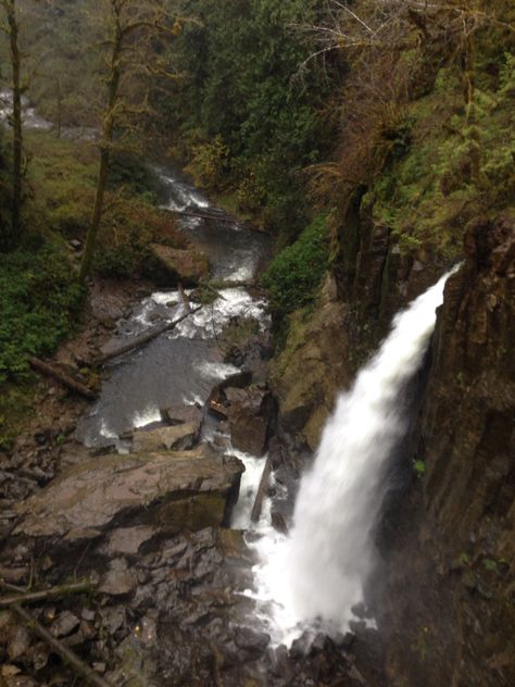 Drift Creek Falls in northern coast range during powerful storm, 25 Oct 2014.  Picture taken from the swinging bridge.  About 3 mile hike roundtrip. Sun River Oregon, Steens Mountains Oregon, Drift Creek Falls Oregon, Highway Of Waterfalls Oregon, Eagle Creek Trail Oregon, Swinging Bridge, Oregon, Bridge, Hiking