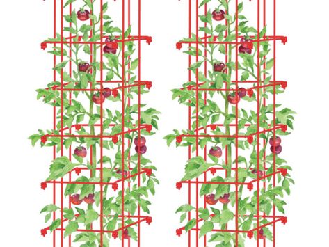 Tomato Towers Vegetable Supports, Wall Trellis, Cucumber Trellis, Cedar Planter Box, Cedar Planters, Tower Garden, Tomato Cages, Growing Tomatoes, Tomato Plants