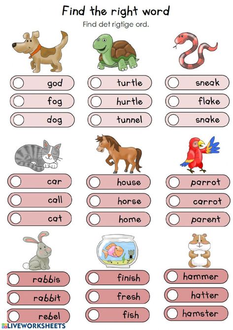 Animal Worksheets For Kids, Learn English For Kids Teaching Ideas, Pet Animals Worksheet, Person Place Animal Thing Worksheet, Evs Worksheet For Class 1 Animals, Pets Worksheet, My Pets Worksheets For Kids, English Liveworksheet, Abc Animals