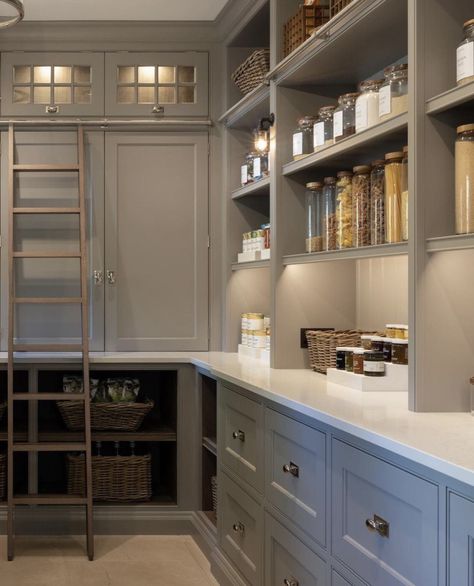 via buildingutah instagram Pantry With Ladder, Walk In Pantry Ideas, Tiny Pantry, Humphrey Munson, Dream Pantry, Pantry Inspiration, Pantry Wall, Butlers Pantry, Kitchen Pantry Design