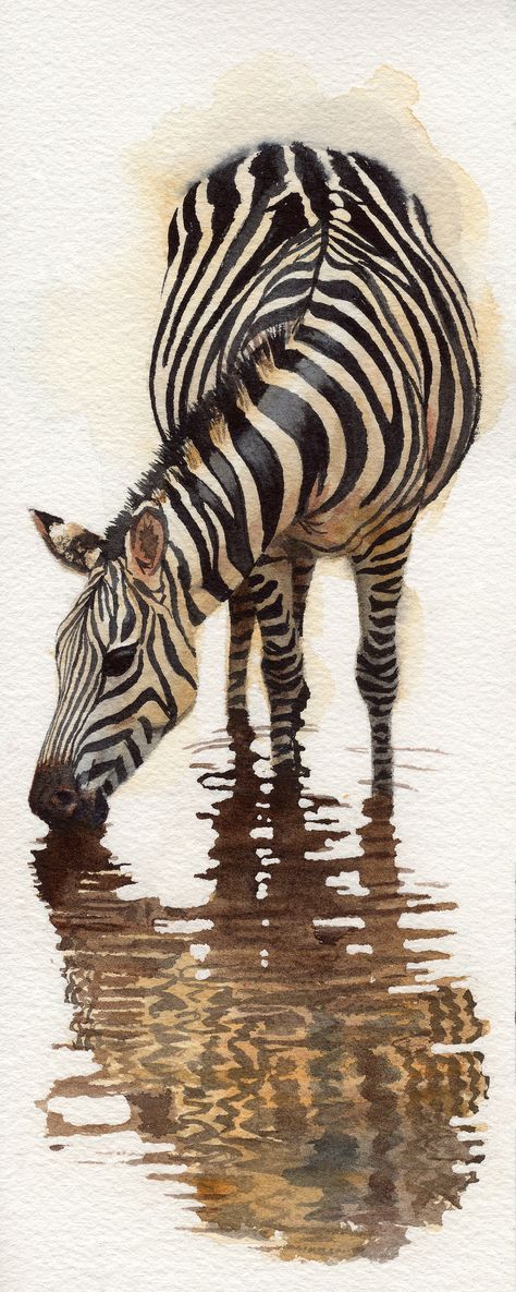 Wild Animal Paintings, Wild Animal Art, Wild Animals Art, Animal Watercolour, Wildlife Painting, Watercolour Animals, Zibra Paint, Easy Zebra Painting, Wild Animals Drawing