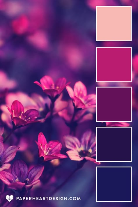 Persephone Colors, Raspberry Colour Palette, Persephone Color Palette, Fuschia Color Combinations, Color Palette Mauve, Pmu Aesthetics, Magenta Color Palette, Color Palette Flowers, Color Palette Art