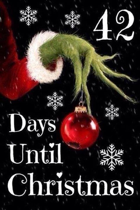 HO HO HO...Denise?  42 days!!!!! Countdown Till Christmas, Weeks Till Christmas, Christmas Dates, Grinch Ideas, Dr Seuss Activities, Once Upon A December, Count Down To Christmas, Christmas Everyday, Christmas Miracle