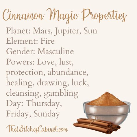 All the potent cinnamon magical properties in one place. Magic Properties Of Cinnamon, What Does Cinnamon Do In Witchcraft, What Is Cinnamon Good For Witchcraft, Cinnamon Stick Witchcraft, Cinnamon Properties Magic, Magical Properties Of Cinnamon, Cinnamon Spiritual Meaning, Ginger Magical Properties, Cinnamon Witchcraft Uses