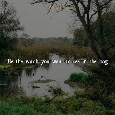 Witch In The Woods Aesthetic, Bog Witch Aesthetic, Bewitched Aesthetic, Bayou Aesthetic, Bayou Witch, Swamp Witch Aesthetic, Coven Aesthetic, Pagan Aesthetic, Bog Witch