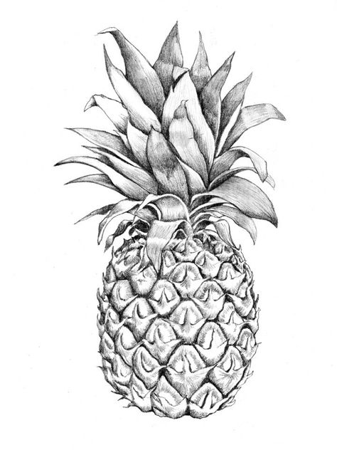 Pineapple drawing Pineapple Sketch, Pinapple Tattoos, Pineapple Drawing, Pineapple Tattoo, Pineapple Graphic, Fruits Drawing, Motif Art Deco, Fruit Painting, Fruit Plants