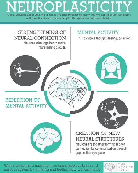 Brain Chat’s Instagram photo: “Neuroplasticity from @the.healed.tribe 🧠🧠🧠 https://www.thehealedtribe.com/blog/2020/1/15/limbic-system-hypersensitivity-pain-fatigue-…” Limbic System Retraining, Limbic System Brain, Neural Plasticity, Neuroplasticity Exercises, Endocrine System Hormones, Neural Pathways, Multiple Chemical Sensitivity, Neural Connections, Rewire Your Brain