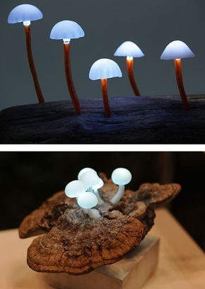 LED Mushroom Lights by Yukio Takano (Japan) Led Mushroom Lights, Blitz Design, Mushroom Lights, Deco Nature, Deco Luminaire, Deco Originale, Cool Lamps, Handmade Lamps, Mushroom Lamp