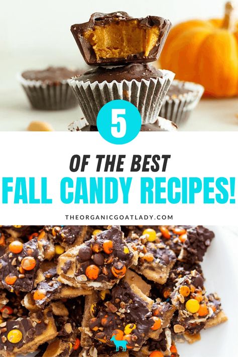 Best Fall Candy Recipes! - The Organic Goat Lady Bake Sale Candy Ideas, Fall Candy Treats, Easy Fall Candy Recipes, Fall Candy Ideas, Fall Candy Recipes, Fall Bake Sale Ideas, Thanksgiving Recipes Make Ahead, Fall Pies Recipes, Crockpot Candy Recipes