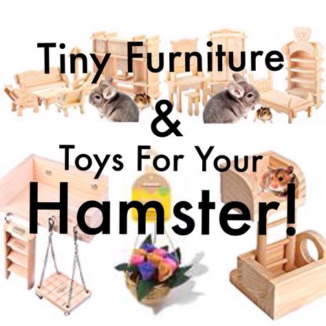 Adorable furniture and toys your hamster will love! All safe for chewing ( apart from the sand bath ). Diy Hamster Stuff, Hamster Diys, Hamster Tips, Diy Hamster Cage, Hamster Cage Accessories, Diy Hamster Toys, Hamster Sand Bath, Hamster Diy Cage, Hamster Breeds