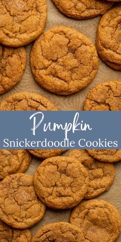 Pumpkin Snickerdoodles are soft and chewy pumpkin spice cookies. These tasty cookies get an extra bump of flavor from brown butter and plenty of pumpkin pie spice. Pumpkin Snickerdoodle Cookie Recipe, Pumpkin Snickerdoodle Cookies, Pumpkin Spice Cookie Recipe, Pumpkin Cookies Easy, Spice Cookie Recipes, Spice Sugar Cookies, Pumpkin Pie Cookies, Fall Cookie Recipes, Pumpkin Snickerdoodles