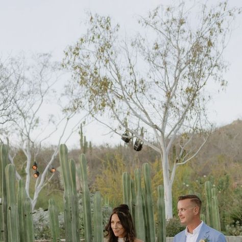 Weddings at Acre Resort, Los Cabos | The serenity of the agave gardens creates a peaceful atmosphere for this special moment. 🌿 With the desert landscape in full bloom, their... | Instagram Desert Landscape, In Full Bloom, Desert Landscaping, The Desert, Wedding Photo, Photo Ideas, Wedding Photos, Weddings, In This Moment