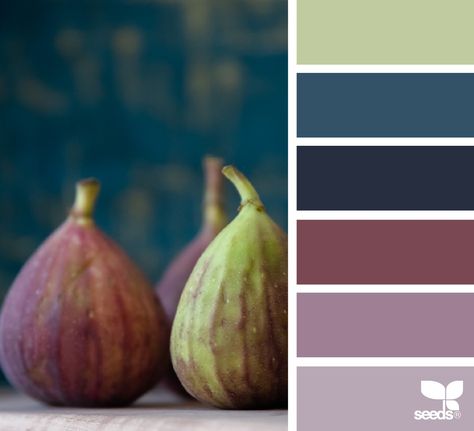 { fresh hues } | image via: @annld60 Color Palette Ideas, Wall Living Room, Palette Ideas, Color Palate, Brown Living Room, Design Seeds, Color Balance, Living Room Bathroom, Color Stories