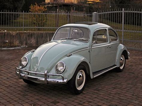 VW BEETLE Volkswagen Aircooled, Vw Type 3, Vw Classic, Vw Beetle Classic, Vintage Volkswagen, Vw Vintage, Vw Bugs, Volkswagen Car, Vw Porsche