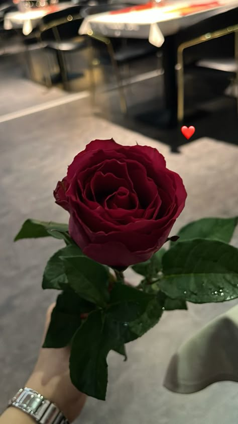 Flower Core, Roses For Her, 22nd Birthday Cakes, Single Red Rose, Pretty Wallpapers Tumblr, Beautiful Flowers Photos, Cute Flower Wallpapers, Holding Flowers, Flower Therapy