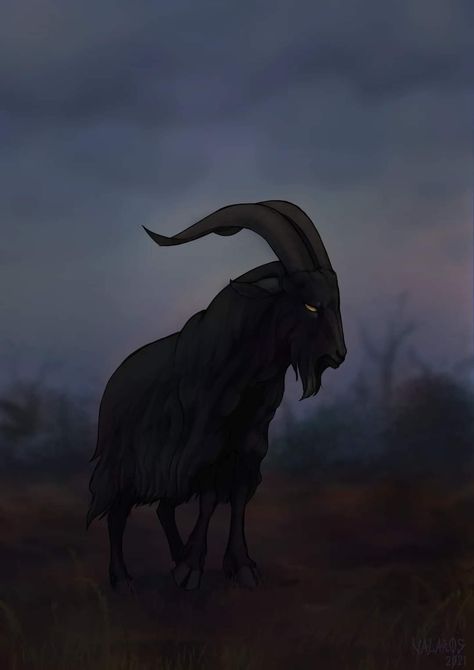 Black Goat, Black