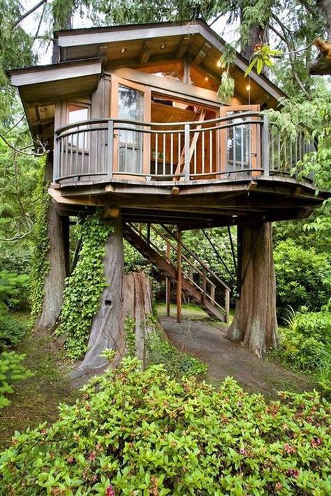 Design Casa Piccola, Modern Tree House, Luxury Tree Houses, Beautiful Tree Houses, Treehouse Masters, Building A Treehouse, Tree House Plans, Little Cabin In The Woods, Tree House Diy