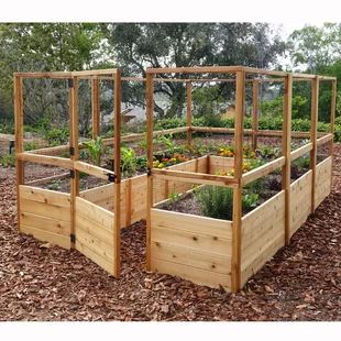 Outdoor Living Today 8 ft x 8 ft Cedar Raised Garden Bed with Deer Fence Kit | Wayfair Cedar Raised Garden Beds, Deer Fence, Cedar Garden, Vegetable Garden Raised Beds, Backyard Vegetable Gardens, Front Yard Fence, Pallet Garden, Garden Kits, Garden Boxes