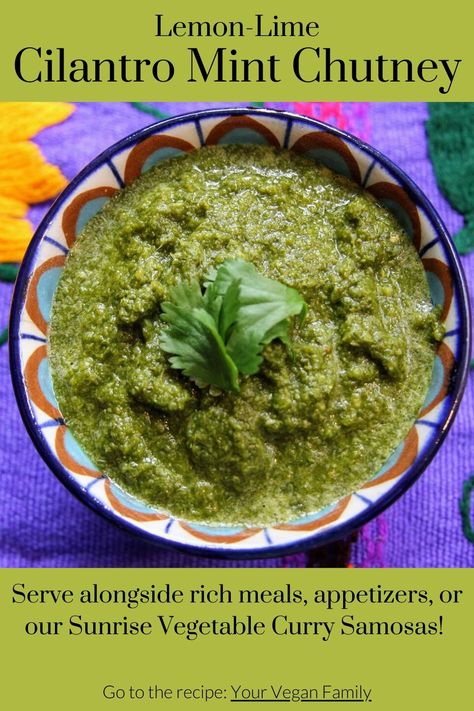 Lemon-Lime Coriander Chutney Recipe: The Perfect Samosa Dip Samosa Sauce, Cilantro Mint Chutney, Green Chilli Chutney, Indian Green Chutney, Coriander Mint Chutney Indian, Vegan Food List, Coriander Chutney, Vegan Sauce, Vegan Grocery List