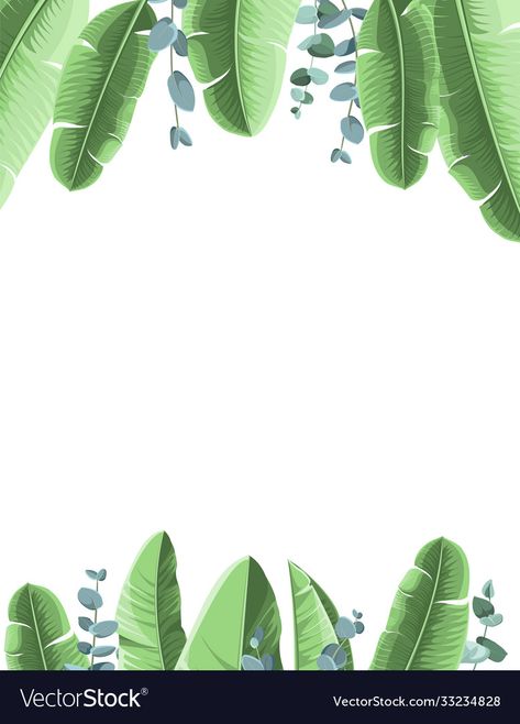 Tropical Background, Leaves Illustration, Leaves Vector, Banana Leaves, Leaf Background, Banana Leaf, High Res, Png Images, Adobe Illustrator