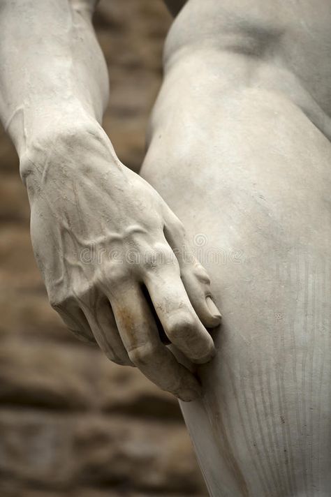 David Florence, Michelangelo David, Michelangelo's David, Anatomy Sculpture, Istoria Artei, Classic Sculpture, Greek Statues, Ancient Statues, Greek Sculpture