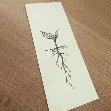 Seed Tattoo, Botanisches Tattoo, Roots Tattoo, Earthy Tattoos, Tattoo Zeichnungen, Plant Tattoo, Geniale Tattoos, Botanical Tattoo, Abstract Tattoo