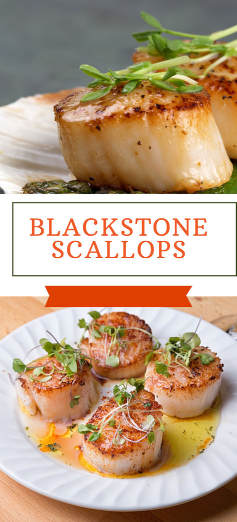 Discover how to cook scallops on a Blackstone griddle with these simple tips. The griddle offers a perfect cooking surface for this shellfish, resulting in a delicious seafood dish with a crispy exterior and a tender, juicy center. While scallops can be prepared in various ways, we find the griddle method to be the most flavorful and effective. #grillonadime #blackstonescallops #scallops Scallops On A Blackstone, Shrimp And Scallops On Blackstone, Scallops Blackstone, Blackstone Scallop Recipes, Blackstone Grill Fish Recipes, Scallops On Blackstone Griddle, Blackstone Scallops, Fish On Blackstone Griddle, Blackstone Fish