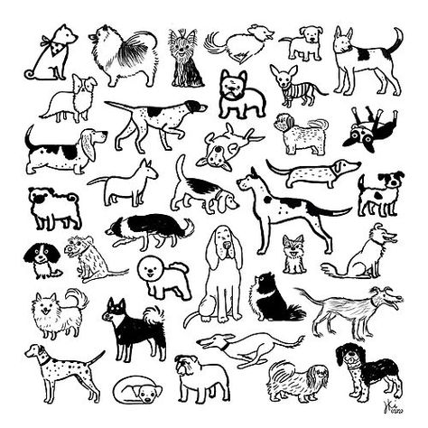 Tattoo Perro, Dog Sketches, Dog Sketch, Black And White Dog, White Dog, Dog Tattoo, Dog Illustration, Dog Drawing, Dog Pattern