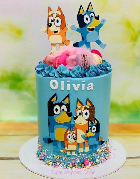 Buttercream Bluey Cake, Bluey Buttercream Cake Ideas, Bluey Abc Kids Cake, Bluey Cake Ideas, Pool Birthday Cakes, Bluey Birthday Cake, Bingo Cake, Red Birthday Cakes, 8th Birthday Cake