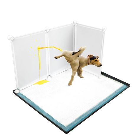 Dog Puppy Pee Pad Enclosure Splash Guard with Non Slip Silicone Mat,No Spill Pee Pad Holder Tray for Dogs Work with Most Training Pads and Easy to Clean. : Amazon.ca: Pet Supplies Porch Potty, Indoor Dog Potty, Dog Litter Box, Dog Pee Pads, Dog Potty, Small Animal Supplies, Indoor Dog, High Walls, Medium Dogs