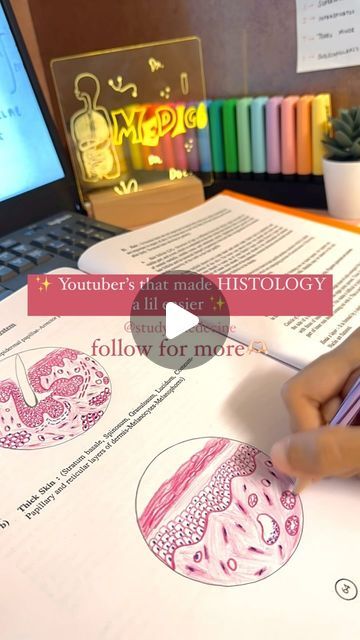 2nd year med student🩺🇮🇳 on Instagram: "Histology can be so confusing, these will help you clear your concepts, only memorising is not gonna work, understanding every layer and then focusing on how they look under the microscope 💕 Noted anatomist is the best for an introduction if you wanna start over🥰  ✨SAVE THIS✨ . . follow for more 🫶🏻 Others coming soon!🔔😌 . . . . . . . . . . . . . . . . . . . . . . . No repost without credits😊 . . #notes #studymotivation #study #studygram #studynotes #studynote #aesthetic #ａｅｓｔｈｅｔｉｃ #aestheticnotes #notesinspo #prettynotes #pretty #physiology #stabilo #stabiloboss #foryou #fyp #explore #explorepage✨ #explorepage #instagood #instadaily #bones #medico #medschool #med #medicine #medstudent #medstudentlife #medicinestudent" Histology Aesthetic, Under The Microscope, Medicine Student, 2nd Year, Stabilo Boss, Pretty Notes, Med Student, Med School, Aesthetic Aesthetic