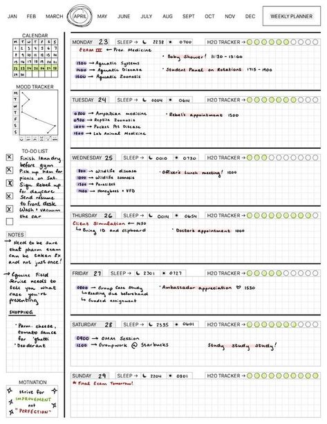 Weekly Planner Template Goodnotes, Cute Weekly Planner Template, Study Planner Ideas, Goodnotes Weekly Planner, Free Printable Weekly Planner Template, Weekly Study Planner, Study Planner Template, Weekly Planner Ideas, Cute Weekly Planner