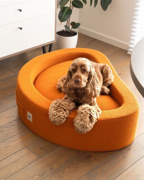 Love. Comfort. Luxury. Barkitecture. These are the pet room ideas for dogs and cats deserving nothing less than the best. Retro Dog Bed, Cute Dog Beds For Small Dogs, Room Ideas For Dogs, Dog Bed Aesthetic, Aesthetic Dog Bed, Pet Room Ideas, Dog Bed Design, Cute Dog Bed, Dog Bed Ideas