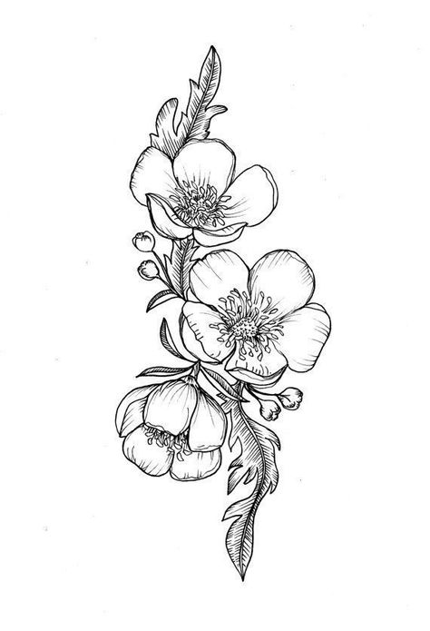 Buttercup Flower Tattoo 2 570 X 836 #Uncategorized Buttercup Flower Tattoo, Fiori Art Deco, Hawthorne Flower, Wildflowers Tattoo, Unusual Tattoo, Buttercup Flower, Kunst Tattoos, Mermaid Tattoo, Stomach Tattoos