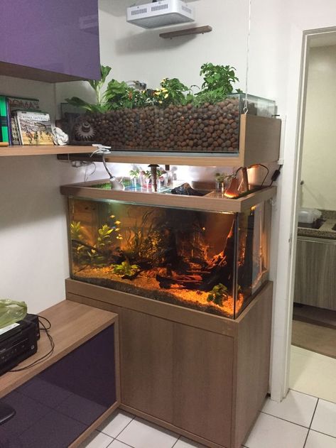 Indoor Aquaponics Aquarium, Aquaponic Aquarium, Hydroponic Aquarium, Aquaponics Fish Tank, Indoor Fish Tank, Aquarium Hydroponics, Aquaponics Aquarium, Hydroponic Gardening System, 10 Gallon Fish Tank