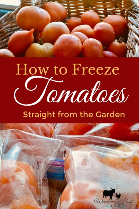 How To Preserve Tomatoes, How To Freeze Tomatoes, Canning Tomato Juice, Preserve Tomatoes, Freezing Tomatoes, Freezing Vegetables, Fresh Tomato Recipes, Stewed Tomatoes, Canning Tomatoes