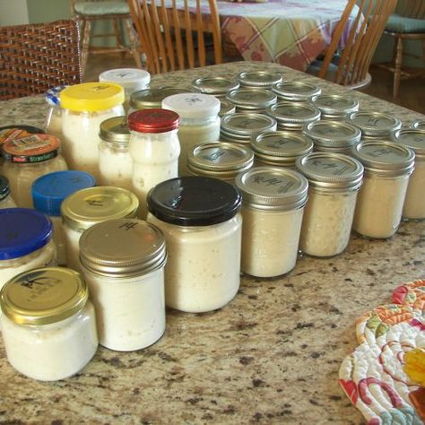 Making Horseradish Homemade, How To Make Horseradish Homemade, Canned Horseradish Recipe, Preserving Horseradish Root, Canning Horseradish Recipes, Fresh Horseradish Recipes, Canning Horseradish, Fermented Horseradish, How To Make Horseradish