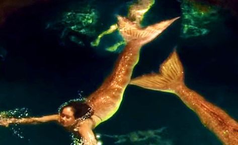 Orange Mermaid Aesthetic, Yellow Mermaid Aesthetic, Yellow Mermaid Tail, Orange Mermaid Tail, Mako Mermaids Tails, Underwater Mermaid, Realistic Mermaid Tails, Orange Mermaid, Yellow Mermaid