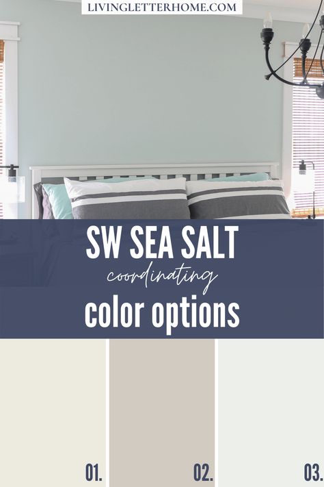 Sherwin Williams Sea Salt Coordinating Color options graphic Sherman Williams Sea Salt, Coastal Bathroom Colors, Sea Salt Kitchen, Neutral Paint Colors Sherwin Williams, Benjamin Moore Sea Salt, Neutral Bathroom Colors, Paint Colors Sherwin Williams, Sw Sea Salt, Sherwin Williams Sea Salt