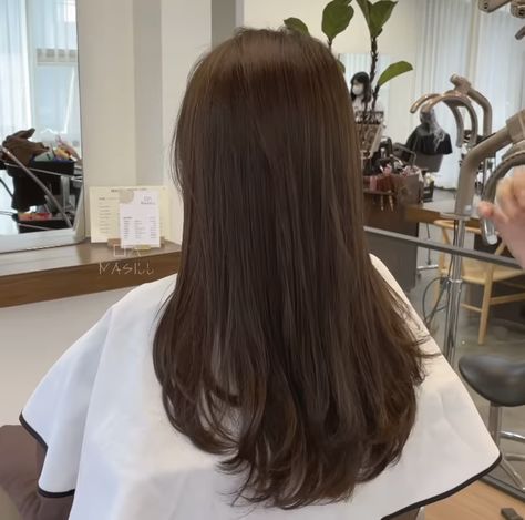 Long Layers Chocolate Brown Hair, Straight Brown Hair Layers, Long Subtle Soft Layers, Small Layers Long Hair, Subtle Brown Hair, Lightly Layered Hair, Long Soft Layers Haircut, Brown Hair Asian, Soft Layered Haircut