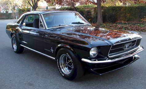 Raven Black 1967 Mustang                                                                                                                                                                                 More Black Ford Mustang 1967, 1980 Mustang, Mustang 1967, Ford Mustang 1967, 67 Mustang, Black Mustang, 65 Mustang, 1967 Ford Mustang, 1967 Mustang