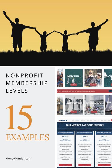 Nonprofit Membership Levels and Names (with 15 Examples) - MoneyMinder Membership Ideas, Lions Clubs International, Neighborhood Association, Pinterest Tips, Homeschool Organization, Growth Strategy, How To Get Money, Non Profit, Marketing