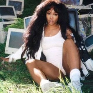 Sza Ctrl Deluxe, Ctrl Deluxe, Sza Album Cover, Ctrl Sza, Wall Art Bedroom Paint, Sza Singer, Sza Ctrl, Music Collage, Gone Girl