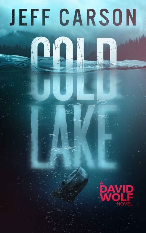 Wolf Book, Cover Design Inspiration, Cold Lake, 타이포그래피 포스터 디자인, Movie Posters Design, Thriller Books, Book Cover Art, Mystery Thriller, Creative Posters