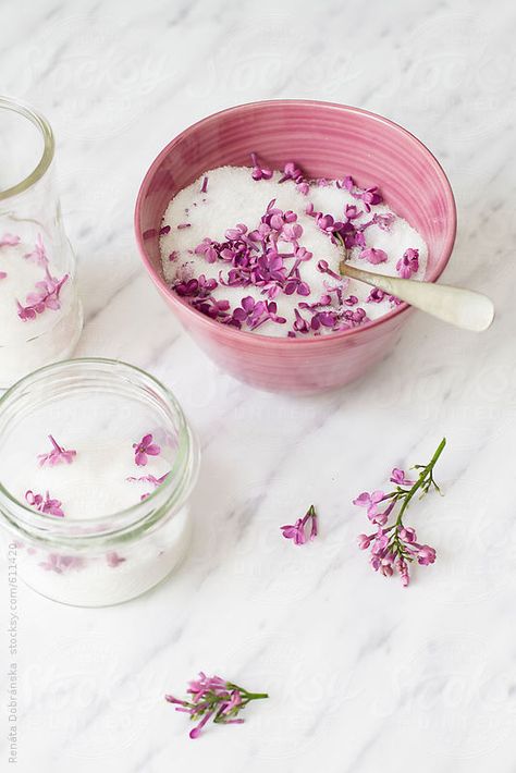 Lilac sugar by renatadobranska | Stocksy United Lilac Sugar, Eating Flowers, Foraged Food, Edible Flowers, Sweet And Salty, Video Footage, Food For Thought, Royalty Free Photos, Food Photo