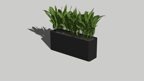 plant | 3D Warehouse Plants 3d Warehouse, Plant 3d Warehouse, Indoor Plants For Bathroom, Indoor Planter Box, Mid Century Plants, Balcony Planters, Minimal Plant, Community Centre, Ethnic Home Decor