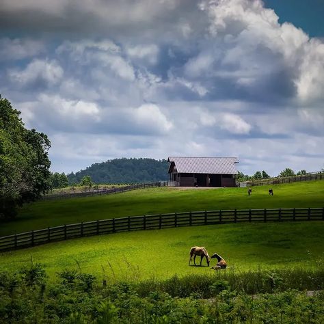 Luxury Horse Barns, Rubber Pavers, Shenandoah Mountains, Mountain Property, Farm Property, Buy Dirt, Stable Style, Horse Barn Designs, Little Cabin In The Woods